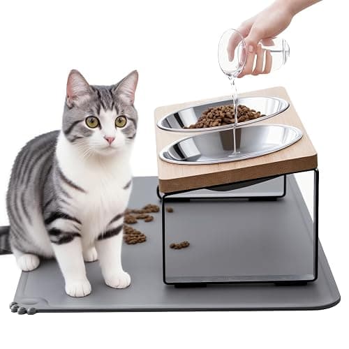 Upgraded Elevated Cat Bowls with Food Mat,15°Tilted Stand Anti Vomiting Raised Cat Dishes for Food and Water,2 Stainless Steel Bowls for Cats and Puppy - Image 1