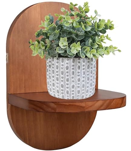ARTORA Wall Mounted Plant Holder, Wooden Flower Pot Wall Hanging Shelf Black Indoor Outdoor Decorative Floating Shelves Planter Hanger Racks for Wall Bedroom Living Room Porch Balcony Decor (1 Pack) - Image 1