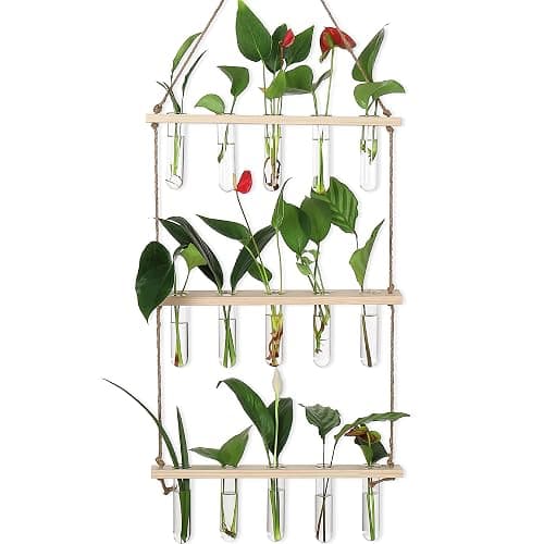 YIBOT Propagation Stations,3 Tiered of Propagation Tubes with Wooden Stand,Mini Glass Test Tubes Vase,Plant Terrarium for Hydroponic Home Garden Office Decor, Gardening Gift for Women Plant Lover - Image 1
