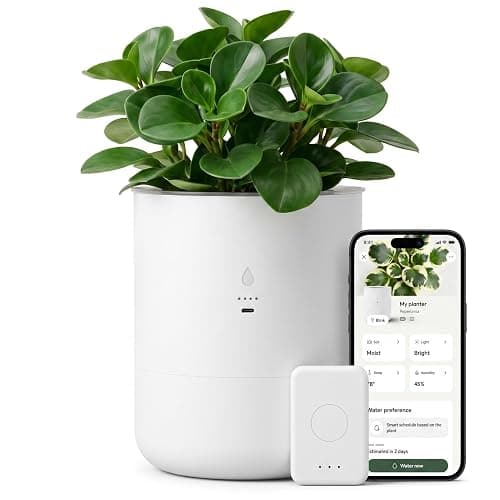 LeafyPod 8 Inch Smart Self Watering Planter with WiFi Bridge & App Control – AI Plant Care System with Sensors, Automatic Watering, Alerts – Modern Indoor Planter for Houseplants | Cordless - Image 1