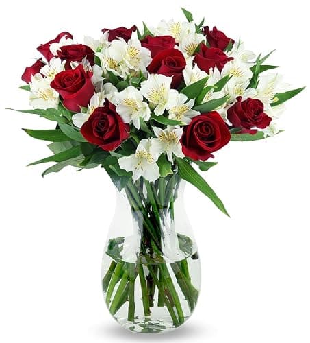Benchmark Bouquets - Classic Roses & Alstroemeria (Glass Vase Included) - Fresh Flowers for Delivery - Gift for Mother’s Day, Birthday, Anniversary, Sympathy, Get Well, Congratulations - Red/White - Image 1