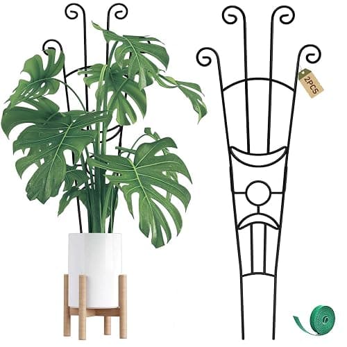 32.6in Monstera Plant Support Stakes for Indoor Plants, Metal Garden Plant Trellis for Climbing Plants, Pothos Vine Snake Climber Support,2p - Image 1
