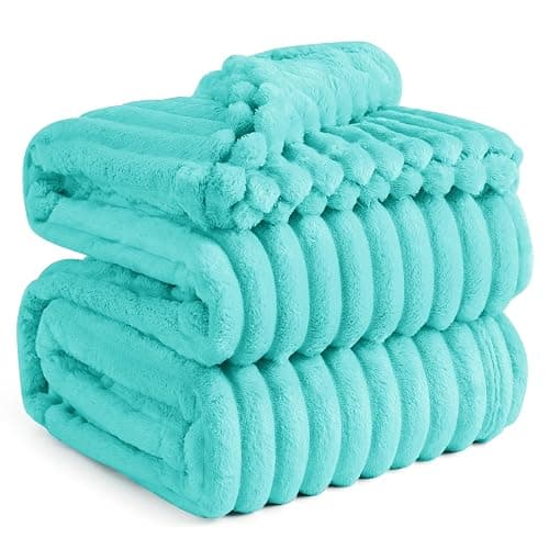 Bedsure GentleSoft Blue Queen Blanket for Bed - Cozy Soft Blankets for Women, Cute Small Fleece Throws for Girls, Birthday Gifts for Women Decor Gifts for Mom, Blue Fog, 90x90 Inches - Image 1