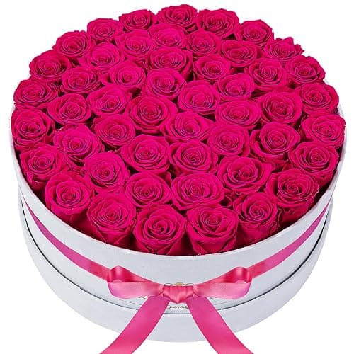 50 Piece Roses in a Velvet Box, Flowers for Delivery, Presereved Flowers Birthday Gifts for Women Mom and Wife (Radiant Pink) - Image 1