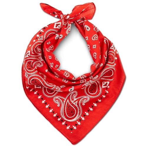 Premium Cotton Bandana for Men & Women - Paisley Neck Scarf Headband | Versatile Sports Headwear for Cycling, Hiking, Walking and Running, Wear as a Face Cover or Stylish Hair Bandana - Image 1