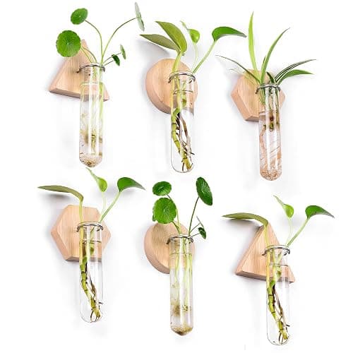 MITIME Wall Hanging Planter Glass Plant Propagation Station,Geometric Wooden Stand for Home Office Decoration. - Image 1