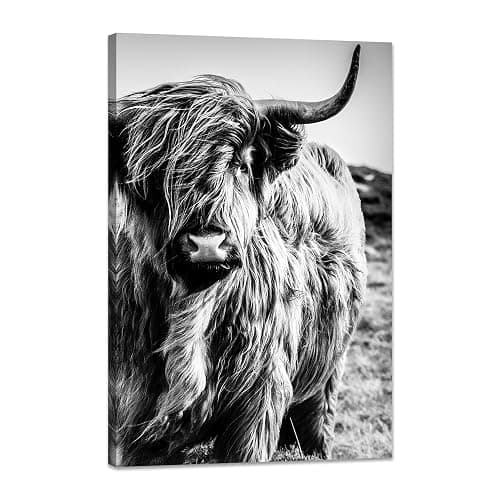 Highland Cow Wall Art Canvas Black and White Cow Picture Prints Framed Artwork for Bathroom Farmhouse Wall Decor (16x24inches) - Image 1