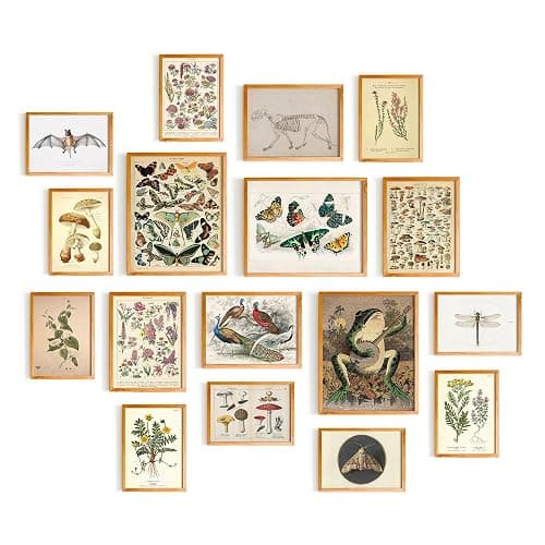 365DoRoTeYa Cottagecore Wall Decor Living Room Art Prints Grunge Fairycore Room Decor Cottagecore Poster Ghosts Aesthetic Room Decor Aesthetic Wall Art Vintage Home Decor Living Room Decor Mushrooms Preppy Stuff Office Decor Bedroom Decor 17 PCS (Unframed) - Image 1