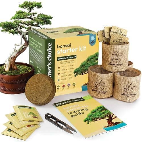 New Bonsai Starter Kit - Gardening Gifts for Women & Men - Unique DIY Hobbies, Crafts Hobby Kits for Adults - Unusual Easter Gift Ideas for Garden Plant Lovers, or Gardener Mother (Bonsai) - Image 1