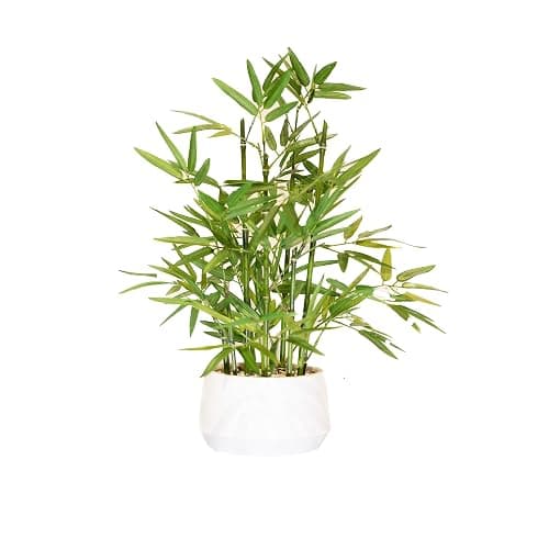 365 Blooming Decor 18 inch Tall White Potted Artificial Bamboo Plant- Luxury Artificial Bamboo Tree in White Pot for Home, Office, Kitchen, Counter Top, Indoor Decor, Money Tree, Lucky Tree. - Image 1