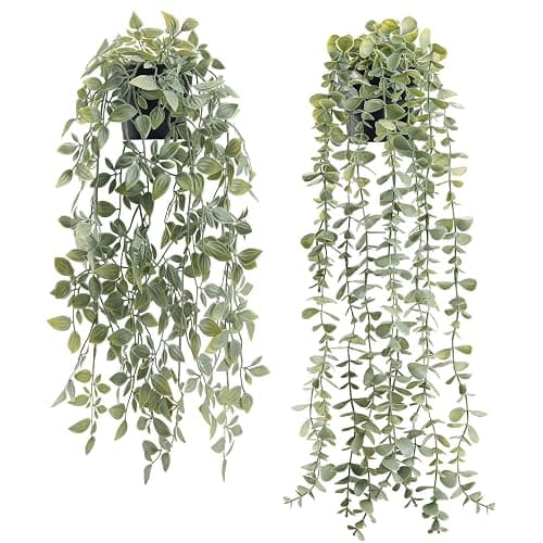 Der Rose 2Pcs Fake Plants Hanging Artificial Decor Faux Potted Eucalyptus and Pea Pod Plants for Boho Bathroom Home Office Desk Wall Shelf Bookcase Accessories Decor Indoor - Image 1