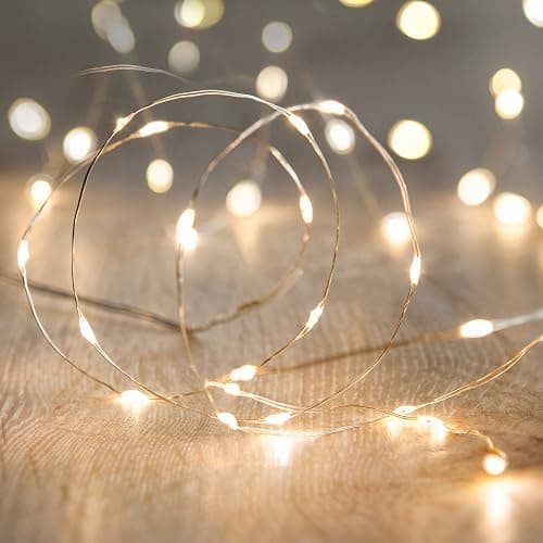 Lights4fun Indoor Fairy Lights Battery Operated String Lights 1m 20 LED Warm White Micro Silver Wire Twinkle Lights for Indoor Bedroom Wedding Party Decorations - Image 1