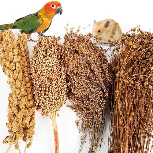 Fhiny Natural Hamster Bedding, Edible Hamster Sprays Flowers & Herbs Gerbil Habitat Enclosure Decor Grain Treats Cage Accessories for Dwarf Syrian Hamster Gerbil Mice Lemming Degus - Image 1