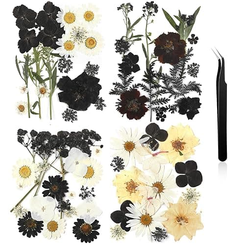 Nuanchu Pressed Flowers Bulk Dried Flower for Crafts, Dried Wildflowers Leave Natural with Tweezer for Resin Mold Scrapbooking Nail Soap Making DIY(Austere Style,Black Color) - Image 1