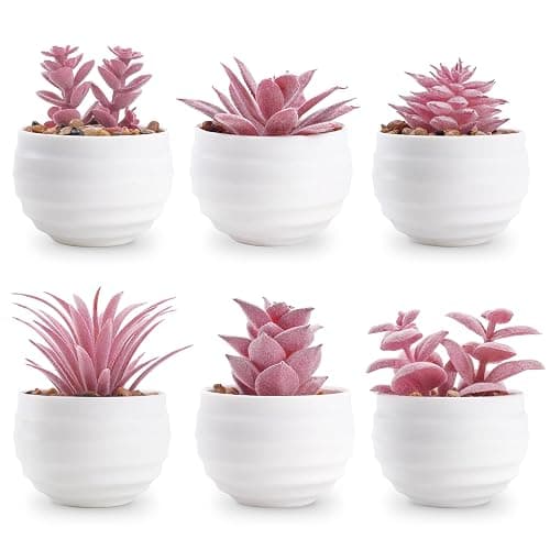 Der Rose Set of 6 Pink Succulents Plants Artificial in Pots Small Fake Plants for Girls Pink Room Decor Office Desk Accessories for Women - Image 1