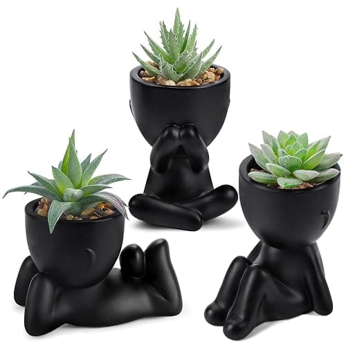 Der Rose 3pcs Fake Succulents Plants Artificial for Black Bathroom Bedroom Home Living Room Halloween Decor Aesthetic Indoor - Image 1