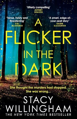 A Flicker in the Dark: The New York Times bestselling debut psychological serial killer thriller with a shocking twist that will keep you up all night - Image 1