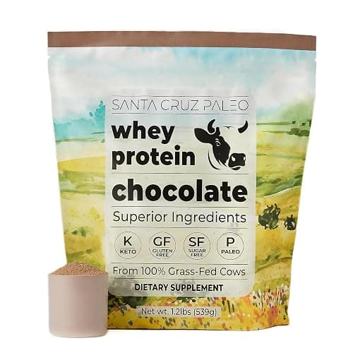 Santa Cruz Paleo Whey Protein Powder, Chocolate Flavor, 20 G Grass Fed Whey Protein Isolate Per Serving, Gluten Free, Paleo & Keto Friendly, No Sugar Added, Protein Shake Mix, 20 Servings, 1.2 lb Bag - Image 1