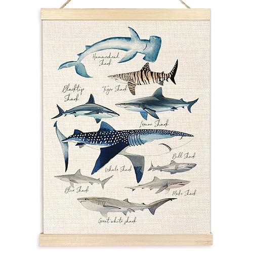 Ecezatik Species of Sharks Wall Art with Wooden Poster Hanger, Shark Posters, Beach Room Decor, Ocean Room Decor, Shark Wall Art Decor for for Classroom Nursery Kids Room Playroom, 12x16 Inch - Image 1