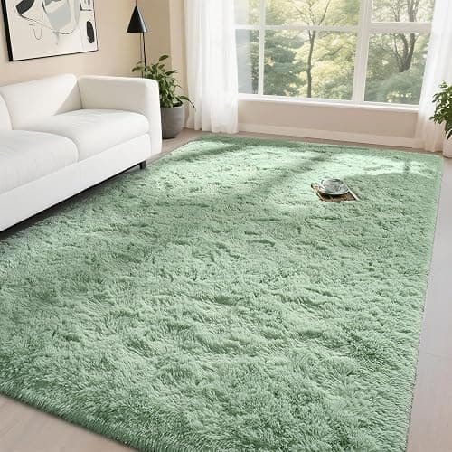 DweIke Fluffy Sage Green Rugs for Bedroom Living Room, 4x6 Feet Soft Plush Shaggy Light Mint Green Girls Boys Kids Rug, Non-Slip and Machine Washable Carpet for Dorm Nursery Classroom Decor - Image 1