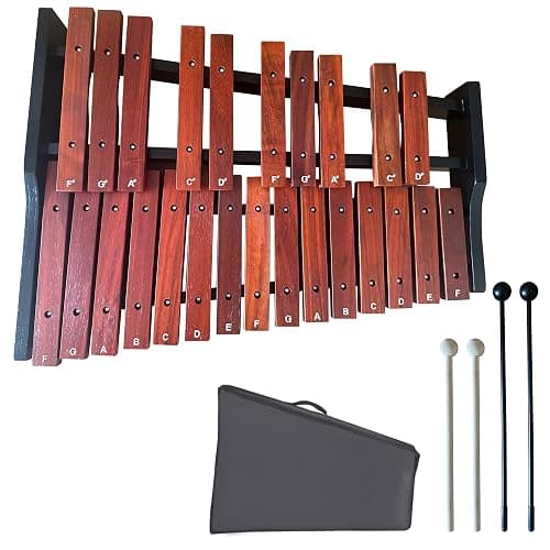 25-Note Portable Xylophone with Two Pairs of Mallets | Professional-Sounding Instrument for Beginners, Early Music Education, and Classroom Learning - Image 1