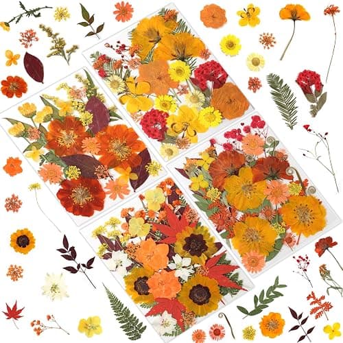 LUXEEASE 120P Yellow Orange Red Dried Pressed Flowers | Warm cozy gradient, maple leaves, varied blooms, for Thanksgiving resin jewelry scrapbook frame candle, tweezers included - Image 1