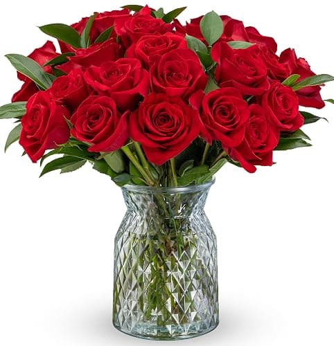 Benchmark Bouquets - Red Roses Bouquet - Fresh Flowers for Delivery - Real Roses - Two Dozen Long Stem Roses for Anniversary - Romantic Gift Set - Gifts for Women (Glass Vase Included) - Image 1