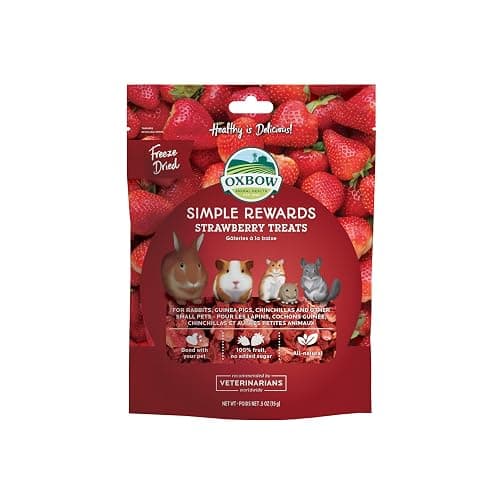 Oxbow Simple Rewards Small Pet Treats, Freeze Dried Fruit, Guinea Pig & Bunny Treats, Healthy Pet Fruit Snack for Rabbit & Guinea Pig, Freeze Dried Strawberries, 0.5 oz Bag - Image 1
