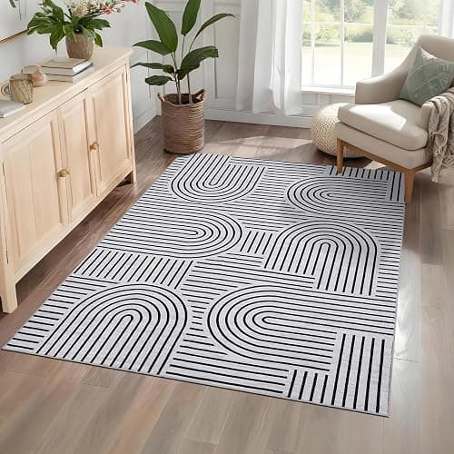 ROYHOME Washable Rug 5x7 Area Rugs for Living Room, Abstract Rug for Bedroom, Soft Rainbow Non Slip Rugs with Rubber Back, Low Pile Stain Resistant Boho Geometric Carpet for Dining Room, Blackwhite - Image 1