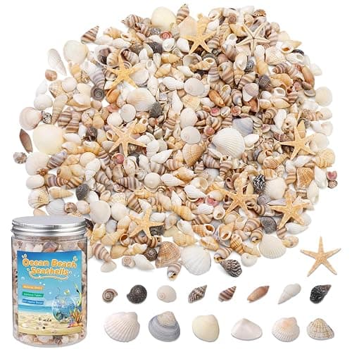1200 Pcs Tiny Sea Shells, Seashells for Crafts with Small Shells Starfish Mixed Ocean Beach Spiral Seashells for Beach Party, Fish Tank and Vase Filler, Wedding Decor, Diy Jewelry Candle Making - Image 1