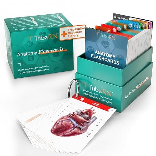 TribeRN Anatomy and Physiology Flash Cards – 320 Study Resources for Students – Human Anatomy & Physiology Study Tools – Medical, Nursing School Essentials – Durable & Easy to Use Flashcards - Image 1