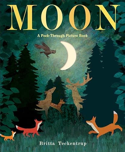 Moon: A Peek-Through Picture Book - Image 1