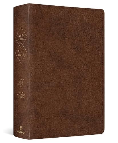 ESV Spanish/English Parallel Bible (La Santa Biblia RVR / The Holy Bible ESV, TruTone, Brown) - Image 1