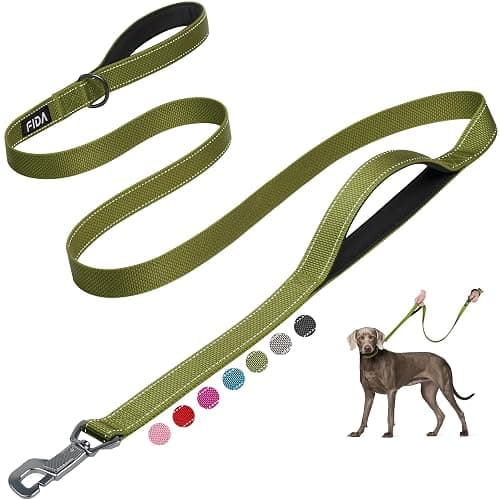 Fida 6 FT Heavy Duty Dog Leash with 2 Comfortable Padded Handles, Traffic Handle & Advanced Easy Snap Hook, Reflective Walking Lead for Large, Medium & Small Breed, Green - Image 1