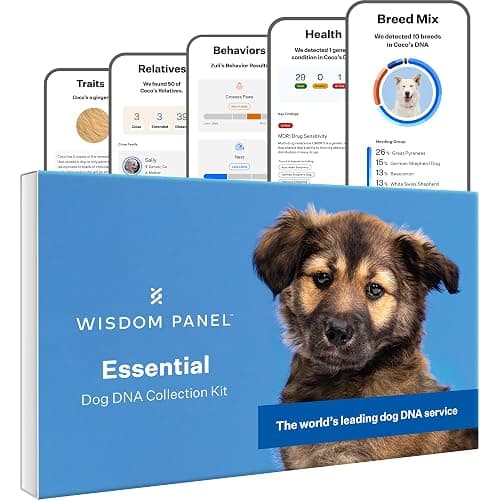 Wisdom Health Essential Dog DNA Kit | Most Accurate Test | 365+ Breeds | 30 Genetic Health Conditions | 50+ Traits, Relatives, Ancestry | Pack of 1 - Image 1