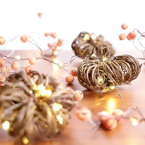 MIYA LIFE Nature Rattan Pumpkin Lights - 10FT 30 LED Cozy Fall Garland with Lights Battery Operated Charming Thanksgiving Decorations with Remote - Ideal Thanksgiving Garland Fall Decorations for Home - Image 1