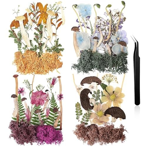 Nuanchu Pressed Flowers Bulk Dried Flower for Crafts, Dried Wildflowers Leave Natural with Tweezer for Resin Mold Scrapbooking Nail Soap Making DIY (Mushroom Style,Original Color) - Image 1