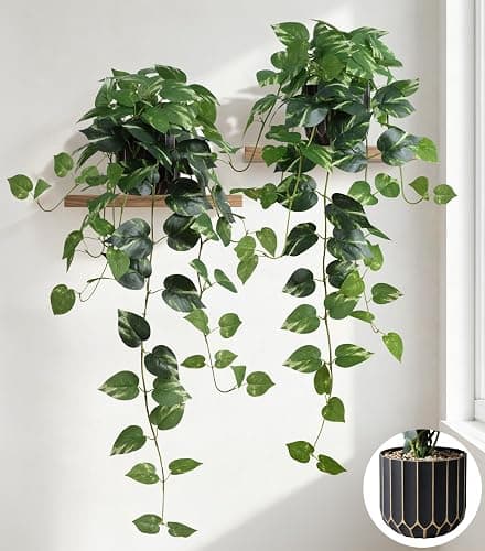 FancyPlus Fake Plants 2 Pcs Faux Pothos Plants Potted Indoor Artificial Hanging Plants Realistic Fake Greenery Table Desk Bathroom Office Bedroom Living Room Shelf Modern Farmhouse Decor Outdoor - Image 1