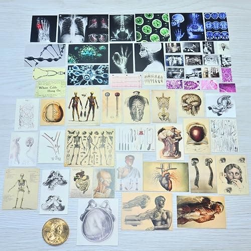 EKKZ 57 Pcs 1/6 Scale Miniature Vintage Medical Posters - Realistic Mini Things Anatomy Charts (X-Ray, Surgery, Microscope) for 11.5-Inch Fashion Dolls - Dollhouse Accessories for Decor and Play - Image 1