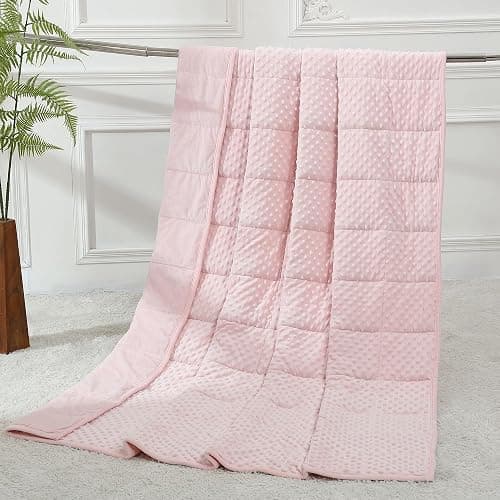 Alomidds Weighted Blanket (60"x80",15lbs Queen Size - Pink), Weighted Blankets for Adults, Cooling Breathable Soft and Comfort Minky, Heavy Blanket Microfiber Material with Glass Beads - Image 1