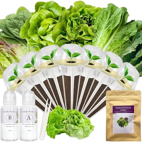 Salad Greens Seed Pod Kit for AeroGarden, iDoo, Ahopegarden, MUFGA with Red/Green Romain/American Fast/Buttercrunch/Parris Island Lettuce, Spinach - Compatible with All Garden(7-Pod) - Image 1