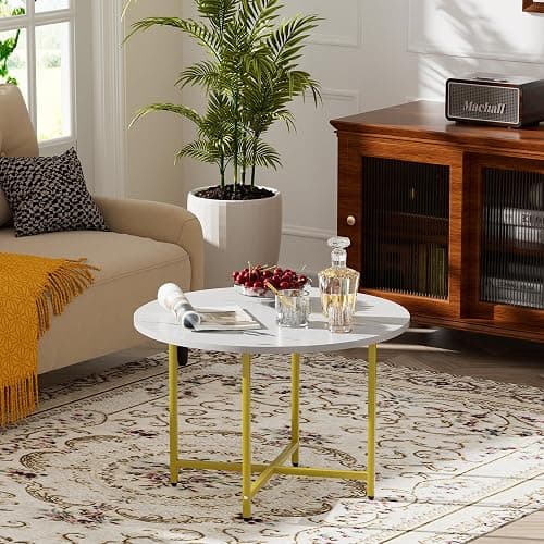 FAMIDGE Round Coffee Table, Small Coffee Tables for Living Room, Wood Coffee Table with Metal Frame, Floor Table Desk for Sitting on The Floor, Home, Office, Farmhouse, White & Gold (23.6"D x 17.7"H) - Image 1
