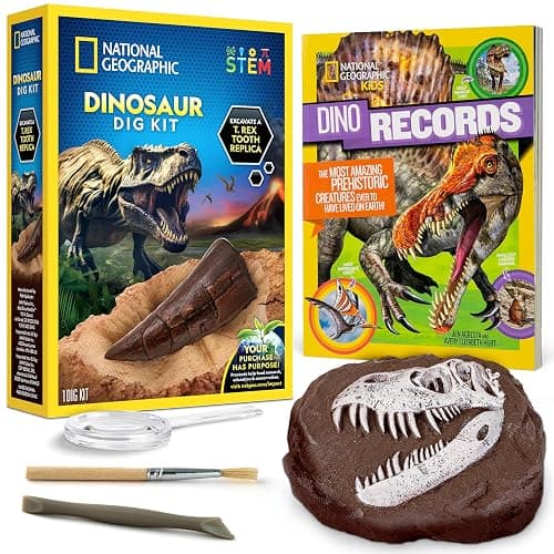 NATIONAL GEOGRAPHIC Dino Fossil Dig Kit & Dinosaur Book for Kids- Excavate a Replica Dinosaur Tooth Fossil and Study Paleontology with a Full-Color Dinosaur Activity Book for Kids (Amazon Exclusive) - Image 1