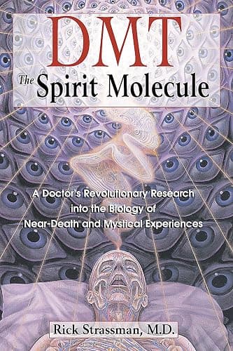 DMT: The Spirit Molecule: A Doctor's Revolutionary Research into the Biology of Near-Death and Mystical Experiences - Image 1