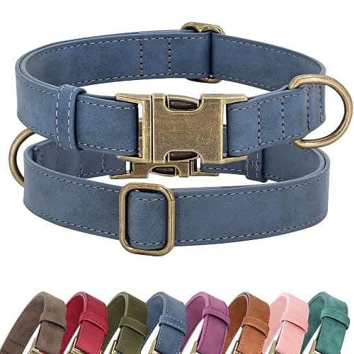 Didog Soft PU Leather Dog Collar, Stylish Quick Released Dog Collars for Small Dogs, Easy Clean Adjustable Pet Collar for Daily Walking, Blue, S Fit 10-16" Neck - Image 1
