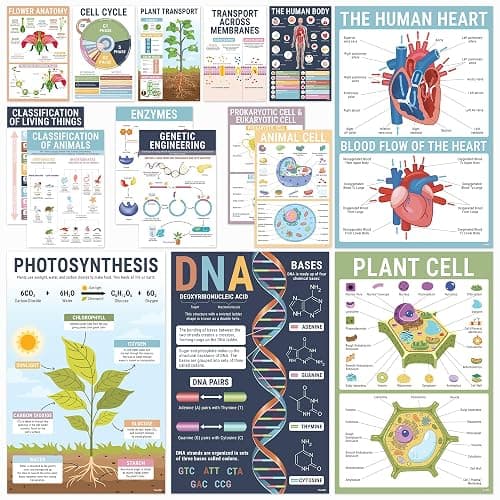 BrightenKidz Biology Posters for Classroom, 15 Pack 11x17 Science Charts | Laminated Educational Biology Charts for Middle & High School - Decor for Hallways, Bulletin Boards, Home Study Room - Image 1