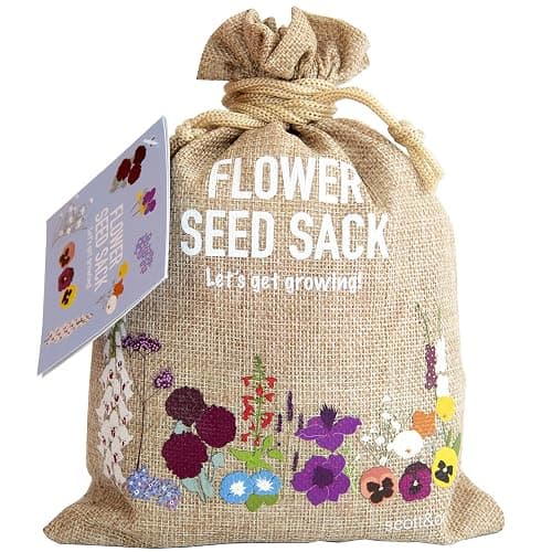 Scott&Co. Flower Seed Variety Pack - 30 Different Varieties of Flower Seeds to Grow Your Own. Butterfly and Bee Attracting, Grow Indoor and Outdoor. Christmas Gifts for Women and Men. - Image 1
