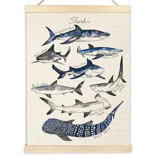 Ecezatik Shark Poster Hanger Frame, Wall Art for Beach Room, Coastal Home Decor, Hanging Decor for Classroom Nursery Boys Room, Gifts for Shark Lovers, 12x16 - Image 1