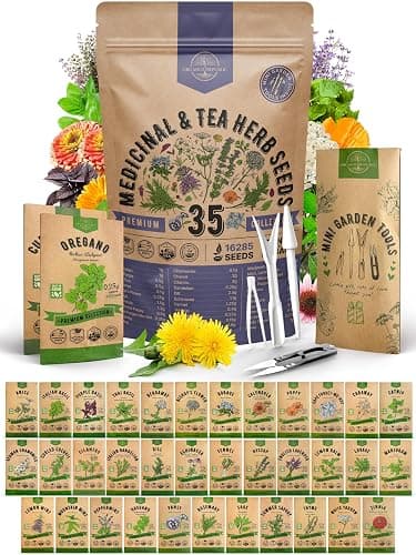 35 Medicinal & Tea Herb Seeds Variety Pack for Indoor & Outdoors. 16,335+ Non-GMO Heirloom Garden Seeds: Anise, Bergamot, Borage, Cilantro, Chamomile, Dandelion, Rosemary Seeds & More - Image 1