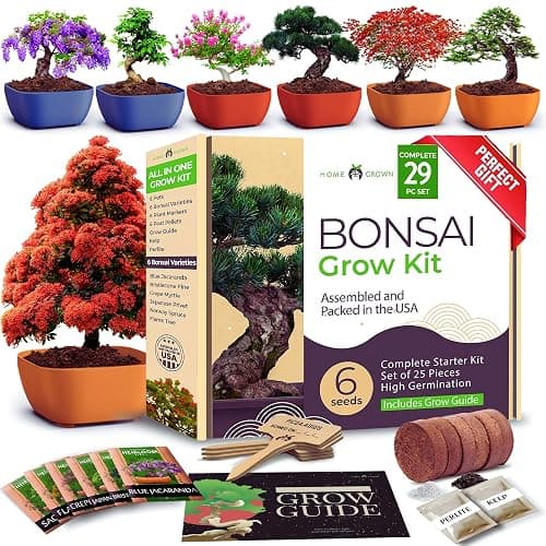 HOME GROWN Bonsai Tree Kit – 6 Heirloom Varieties with Unique Pots – DIY Bonsai Starter Kit for Adults & Beginners – Christmas Gift for Men Women Gardeners Plant Lovers – Indoor Growing Kit - Image 1
